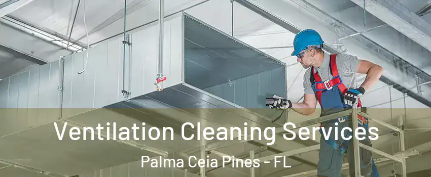Ventilation Cleaning Services Palma Ceia Pines - FL
