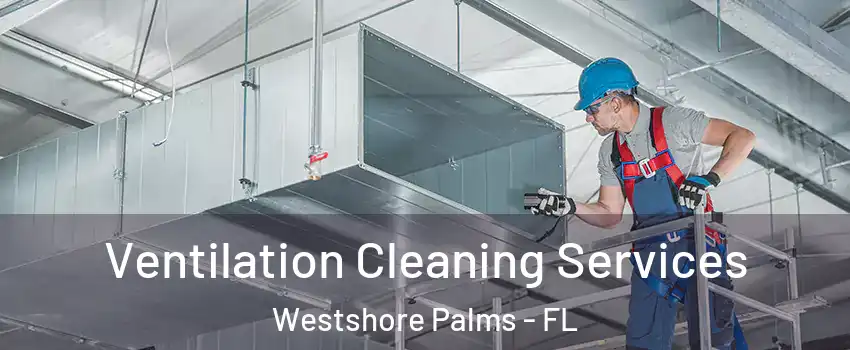 Ventilation Cleaning Services Westshore Palms - FL