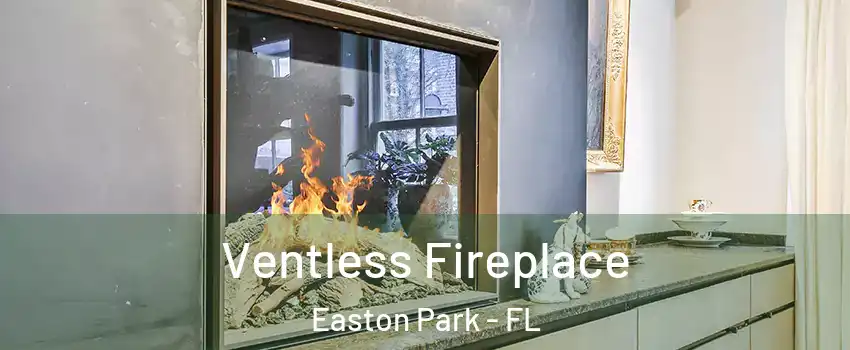 Ventless Fireplace Easton Park - FL