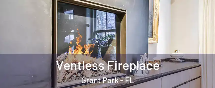Ventless Fireplace Grant Park - FL