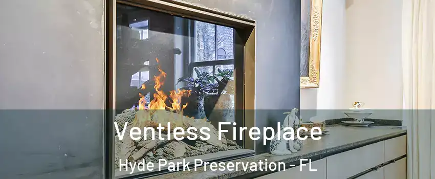 Ventless Fireplace Hyde Park Preservation - FL