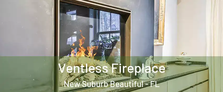 Ventless Fireplace New Suburb Beautiful - FL