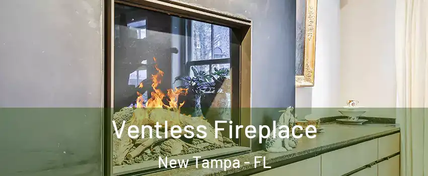 Ventless Fireplace New Tampa - FL