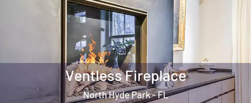Ventless Fireplace North Hyde Park - FL