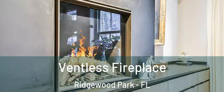Ventless Fireplace Ridgewood Park - FL