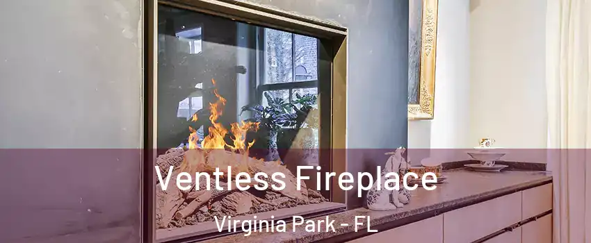 Ventless Fireplace Virginia Park - FL