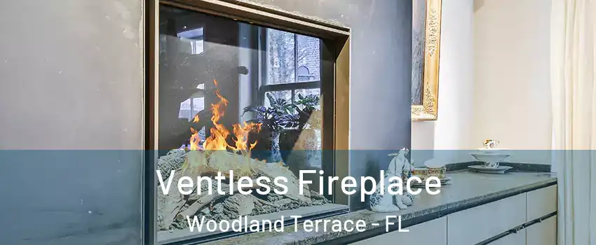 Ventless Fireplace Woodland Terrace - FL
