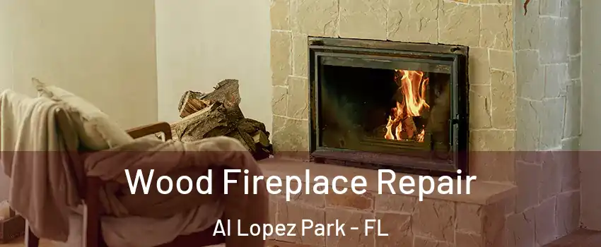 Wood Fireplace Repair Al Lopez Park - FL