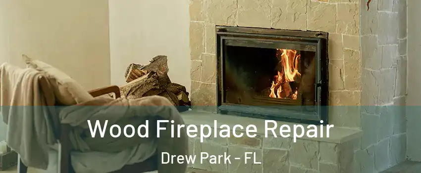 Wood Fireplace Repair Drew Park - FL