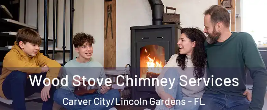 Wood Stove Chimney Services Carver City/Lincoln Gardens - FL