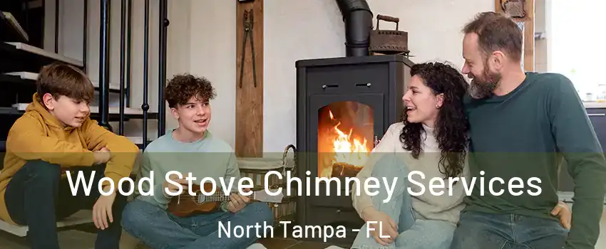 Wood Stove Chimney Services North Tampa - FL