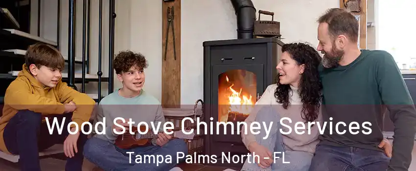 Wood Stove Chimney Services Tampa Palms North - FL