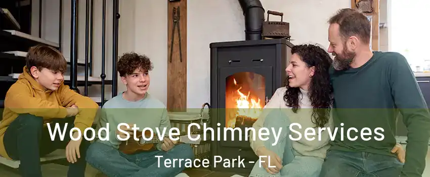 Wood Stove Chimney Services Terrace Park - FL