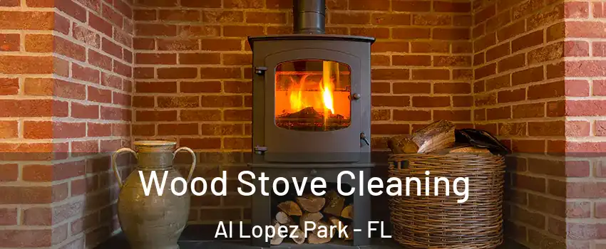 Wood Stove Cleaning Al Lopez Park - FL