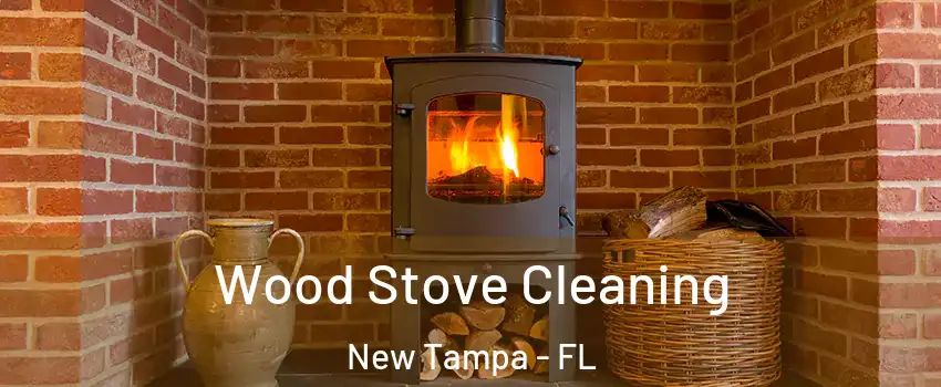 Wood Stove Cleaning New Tampa - FL