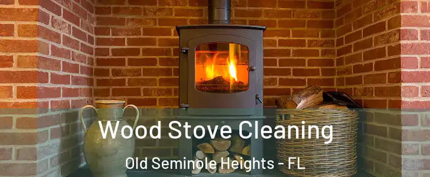Wood Stove Cleaning Old Seminole Heights - FL