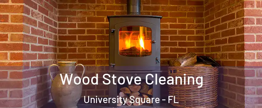 Wood Stove Cleaning University Square - FL