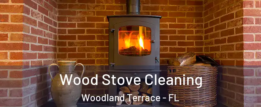 Wood Stove Cleaning Woodland Terrace - FL