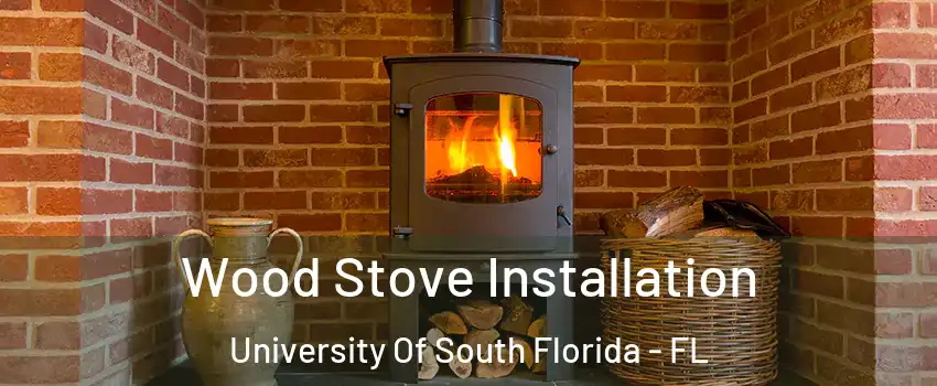 Wood Stove Installation University Of South Florida - FL