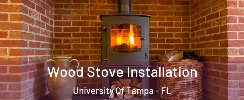 Wood Stove Installation University Of Tampa - FL