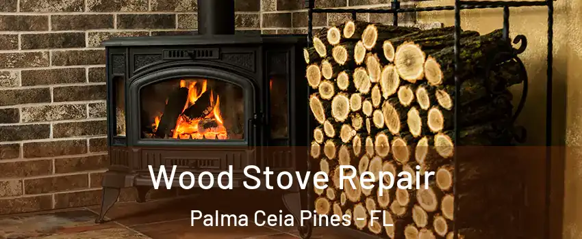 Wood Stove Repair Palma Ceia Pines - FL
