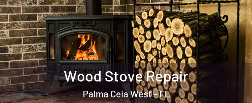 Wood Stove Repair Palma Ceia West - FL